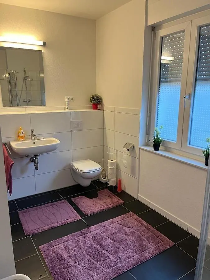 Апартаменты Mobilierte 5 Zimmer Wohnung Zur Vermieten Франкфурт-на-Майне Германия